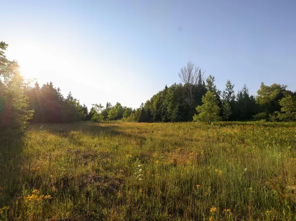 0 Ford Lake Rd, Germfask, MI 49836