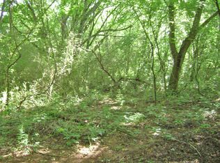 Vinegar Valley Rd, Friendsville, TN 37737