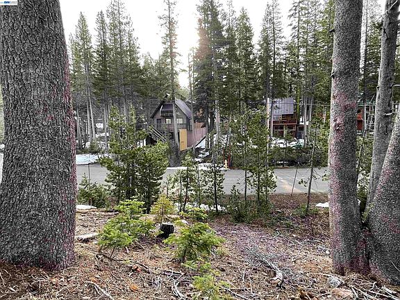 3rd image of 7217 Palisade Rd