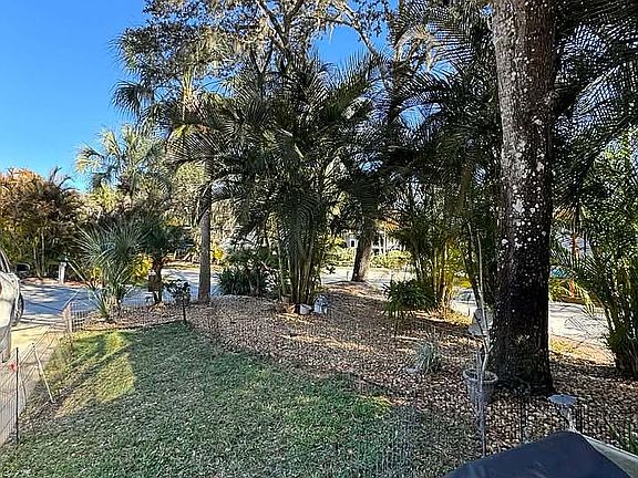 5th image of 247 Saddle Ln