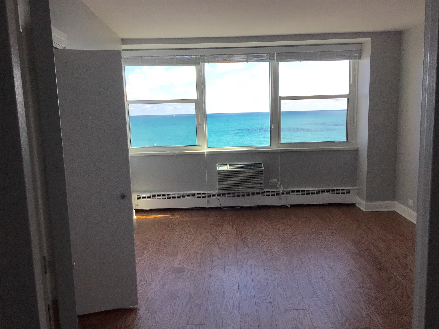 1150 N Lake Shore Dr APT 23C photo 1