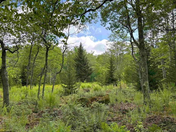 9 Chickadee Dr, Davis, WV 26260