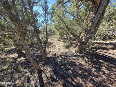 PARCEL 205 33 #5, Williams, AZ, 86046
