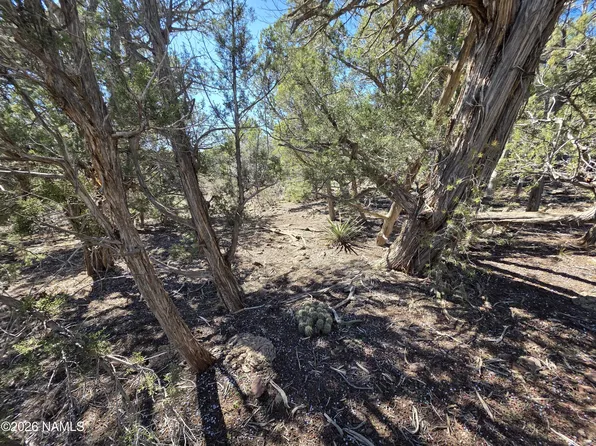 PARCEL 205 33 #5, Williams, AZ 86046