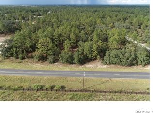 Tbd E Levy St, Williston, FL 32696