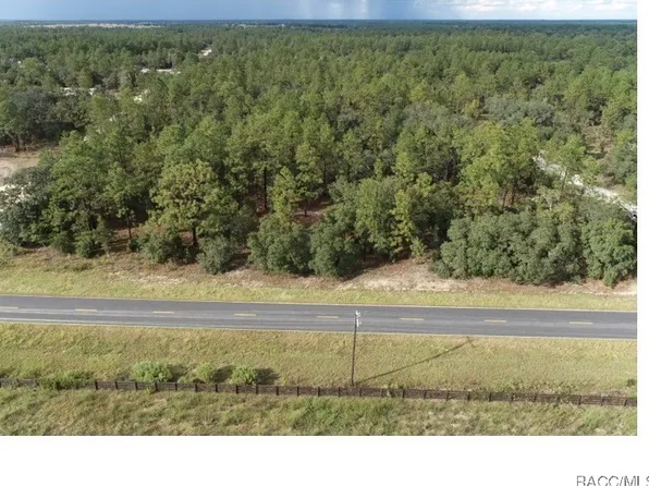 Tbd E Levy St, Williston, FL 32696