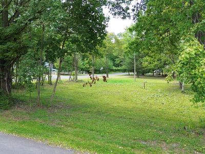 76 W Market St, Sheppton, PA, 18248