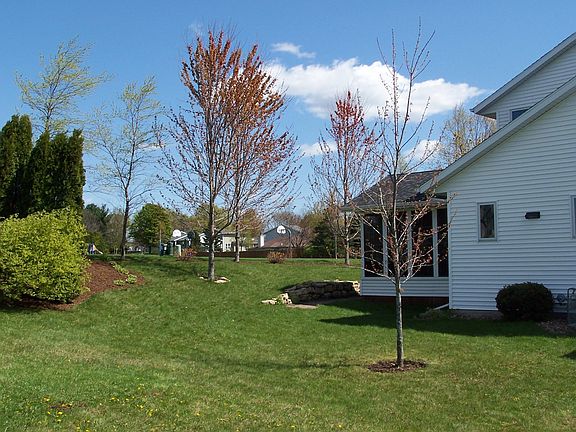 Side view