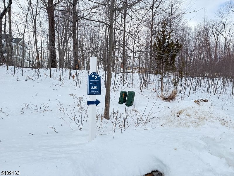 2nd image of 5 Bristol Ridge Rd