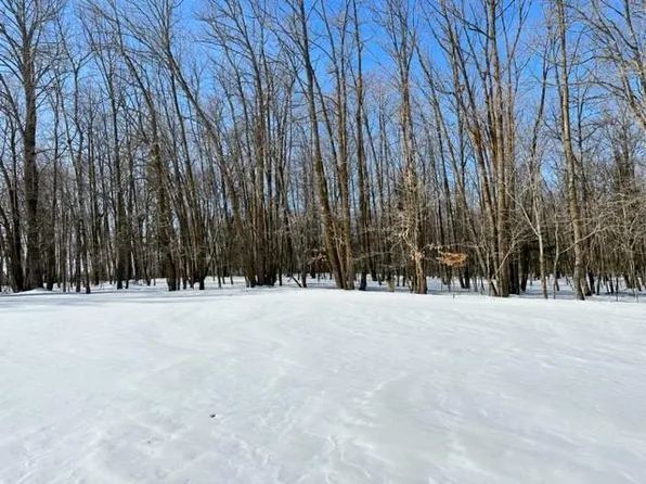 Silver Maple Rd NW, Puposky, MN 56667