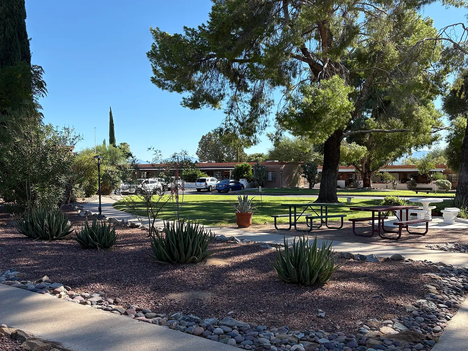 2 bed, 697 sqft, $1,200 — Photo 3