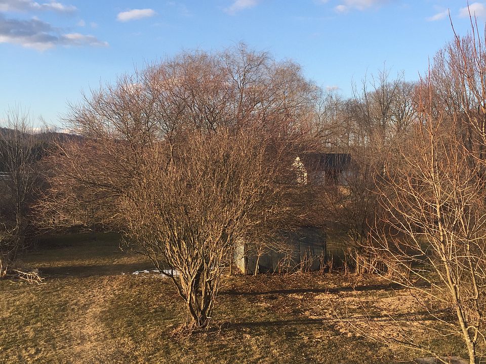 2nd image of 320 Loveville Rd