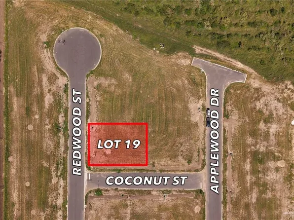 19 Coconut St, Weslaco, TX 78596