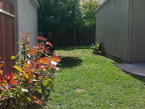 4th image of 233 Cedar Rock Cir