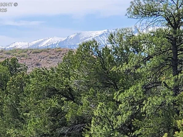 L 20th Trl, Cotopaxi, CO 81223