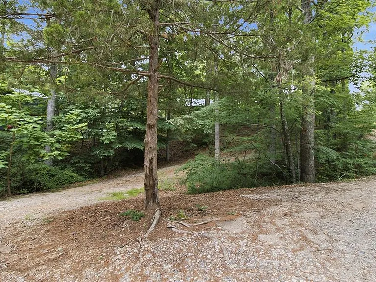 3349 Chestatee Rd — Photo 30