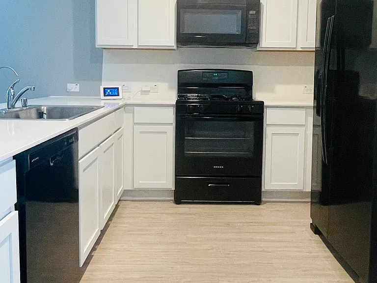 1405 Merlin Bluff St — Photo 4