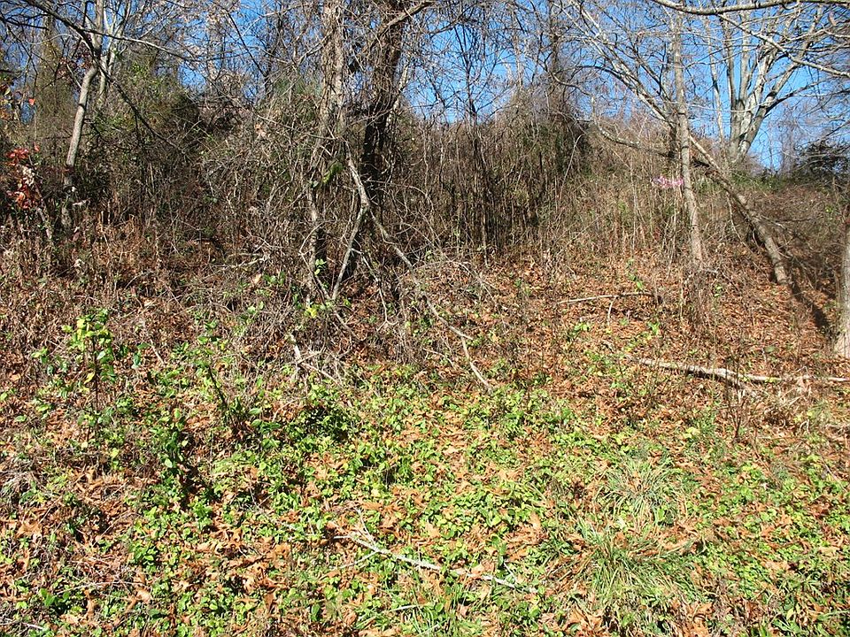 Tbd Oak Grove Rd, Woodlawn, VA 24381 MLS 84804 Zillow