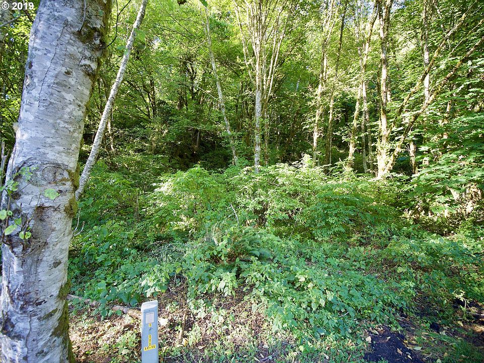 2nd image of E Beaver Creek Rd