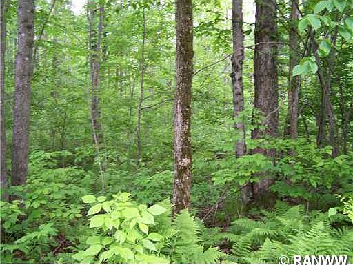 2nd image of Lot 67 N Lake Winter Road