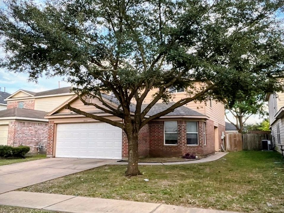Outside front a beautiful shade tree