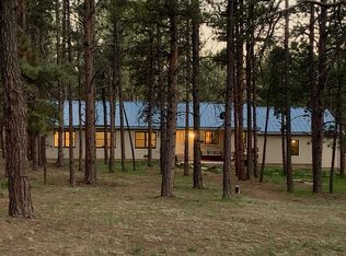 2 Kendora Ln, Woodland Park, CO 80863