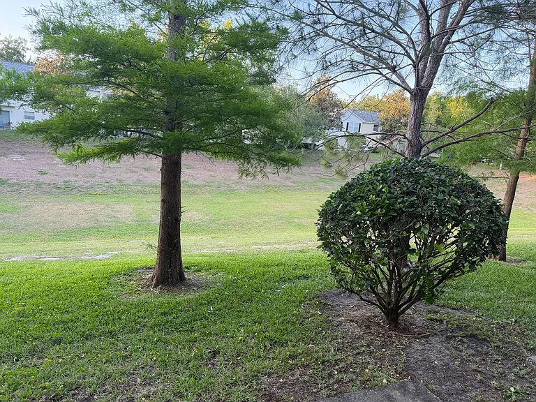 3004 Mojave Oak Dr — Photo 6