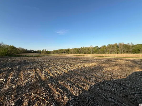 0 Carter Rd, Mayfield, KY 42066