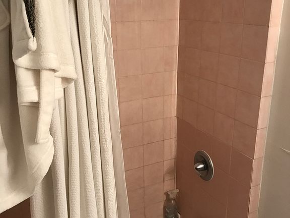 5th image of 203 Chrystie St APT 4B