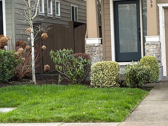 View of front yard