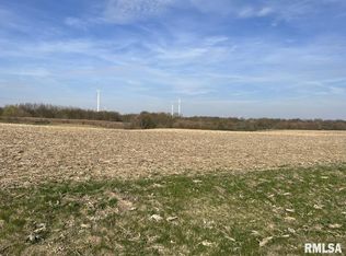 2320 Olof Krans Ave, Galva, IL 61434