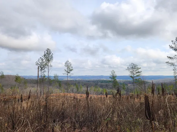 Wasson Rd, Ten Mile, TN 37880