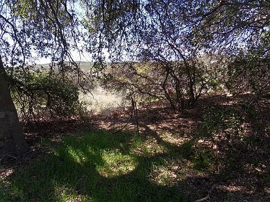 3rd image of Camino Tres Aves