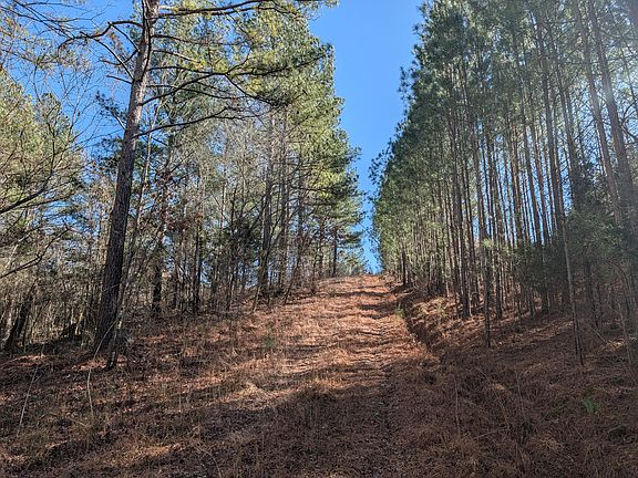 2nd image of 1902 Horner Hollow Rd