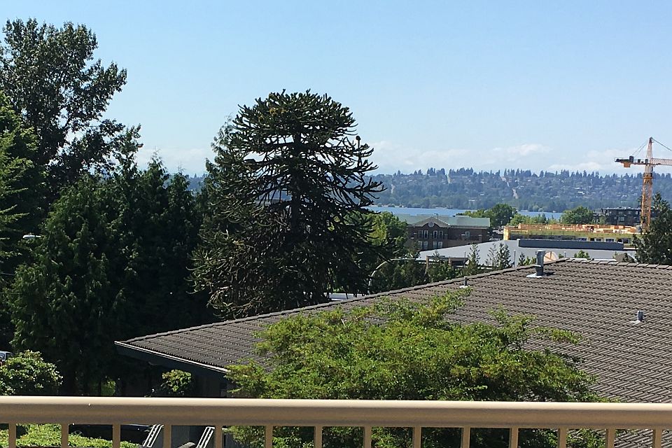 View from the deck/balcony!