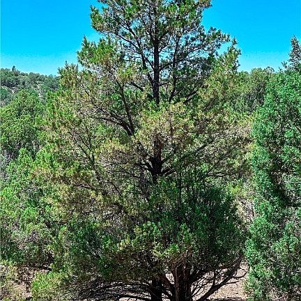 2nd image of 89 Rawhide Canyon Trail