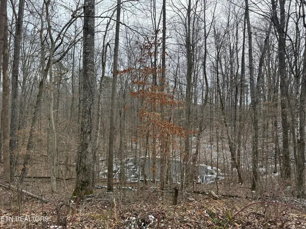 Jones Ridge Road Rd, Speedwell, TN 37870