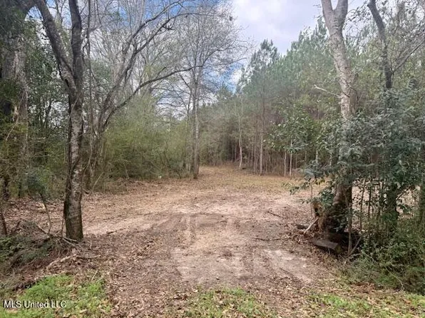 Military Rd, Sandy Hook, MS 39478