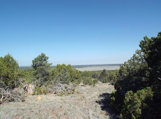 107-48 74, Concho, AZ 85924