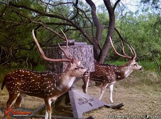 526 Fm 308, Grandview, TX 76050