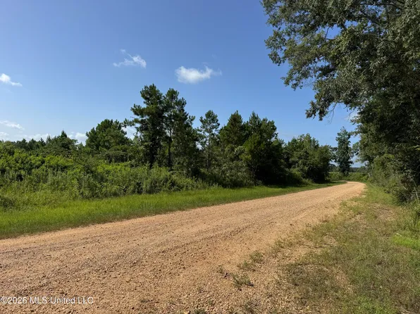 32 Sauls Rd, Ruth, MS 39662