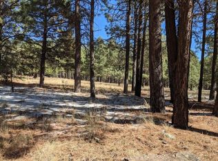 2883 Wildcat Rd, Forest Lakes, AZ 85931