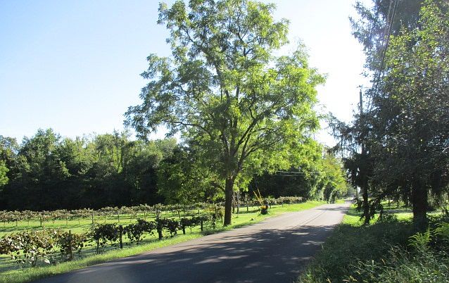2nd image of 768 Sunny Acres Dr
