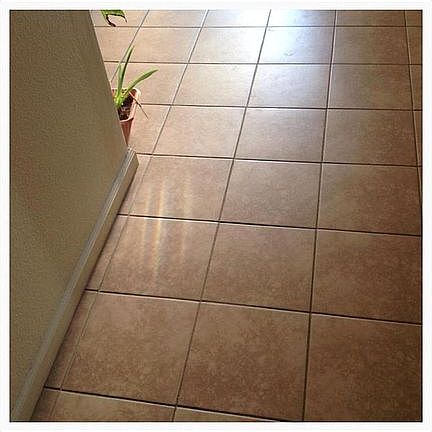 5th image of 336 Hutchison Dr