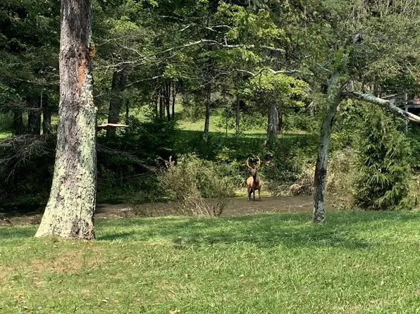 86 Hunter Hollow Ln, Austin, PA 16720