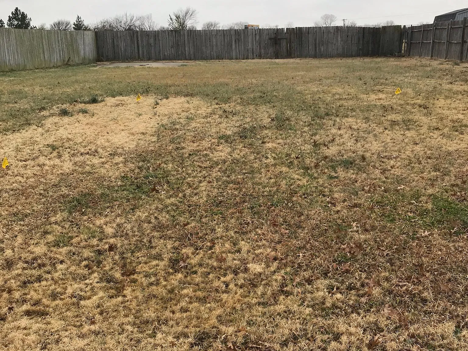 24882 S Heartwood Dr — Photo 4