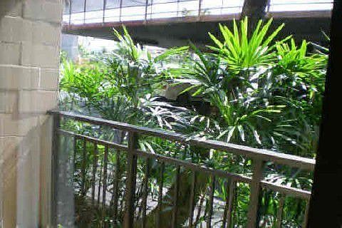 1st image of 75-6026 Alii Dr APT 4105