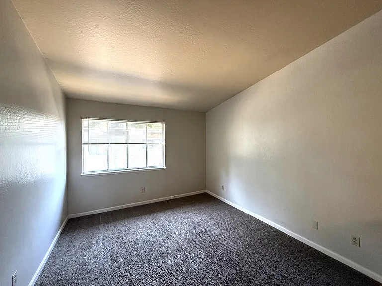 390 Ash St #4 — Photo 9