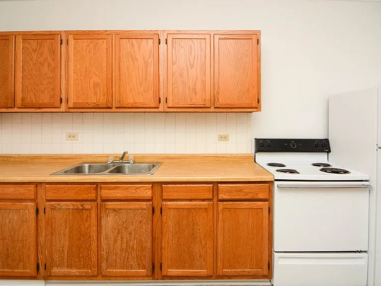 2319 N Kedzie Blvd #F2 — Photo 3