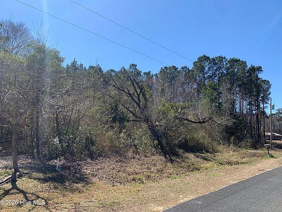 2nd image of 280 Long Leaf Hills Drive SE